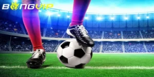 Phân Tích Đánh Giá Nhà Cái Bongvip Từ Góc Nhìn Chuyên Gia 2026