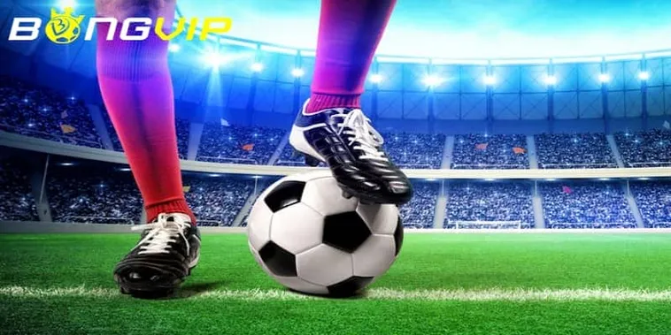 Phân Tích Đánh Giá Nhà Cái Bongvip Từ Góc Nhìn Chuyên Gia 2026