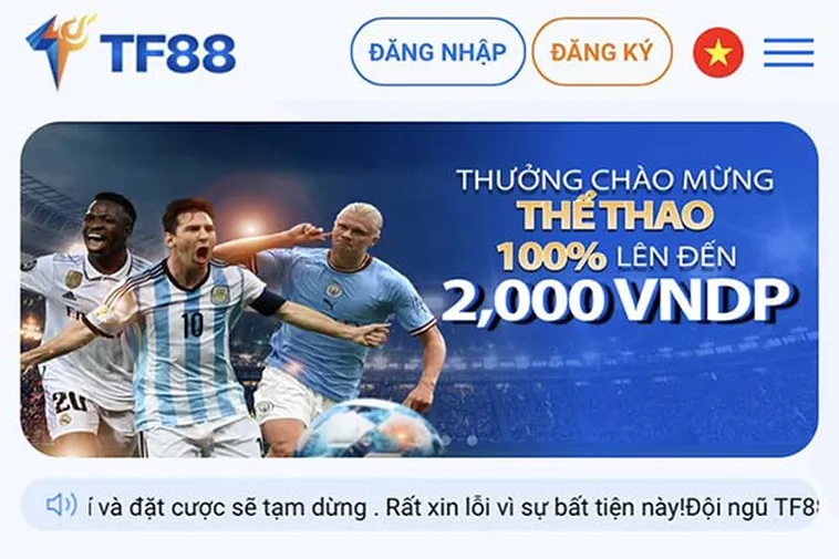Đánh Giá Nhà Cái TF88 Thiên Đường Giải Trí Với Công Nghệ Hiện Đại Nhất 2026